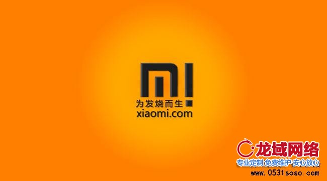 小米公司：专注产品，做到极致，利用口碑，完美售后